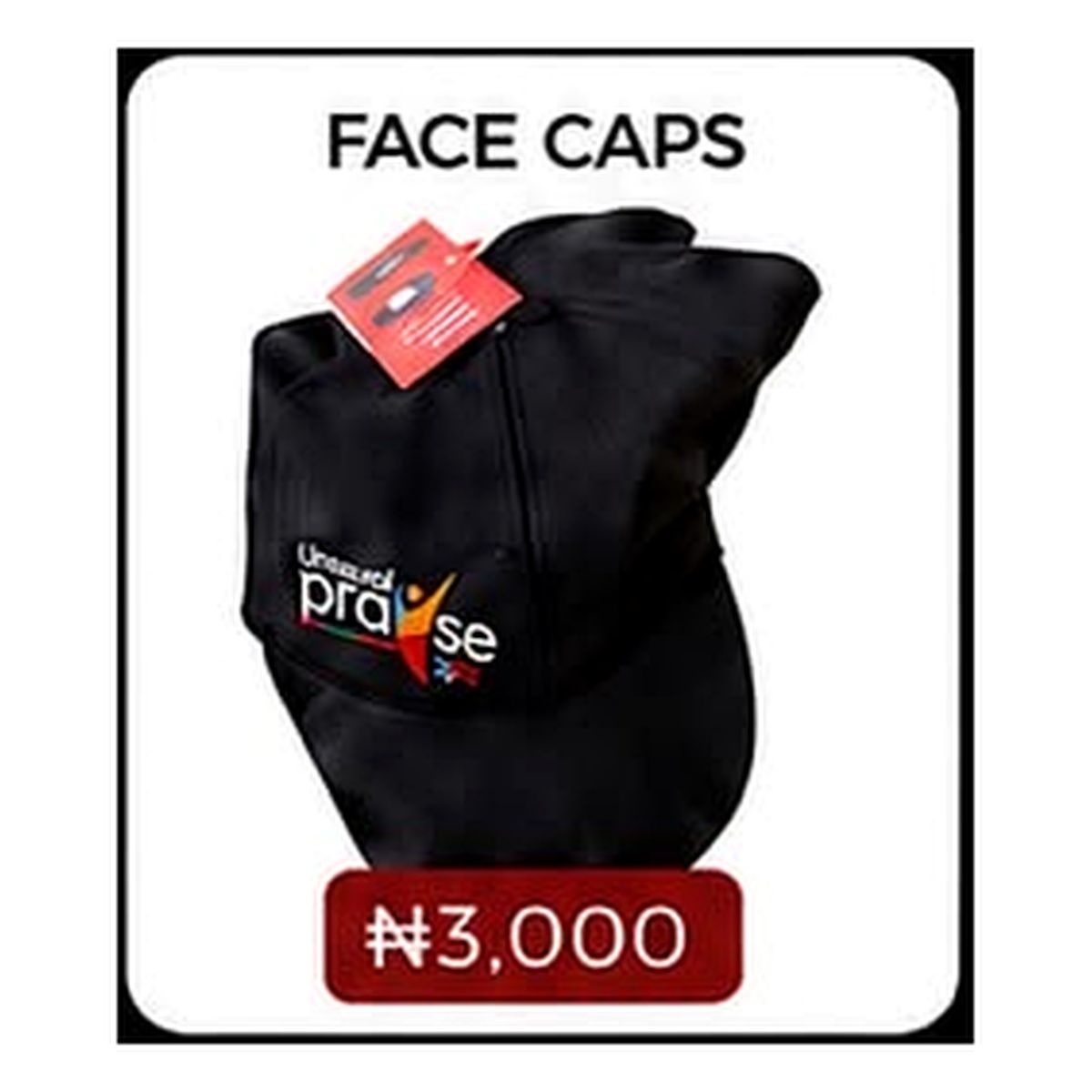 Unusual Praise merchandise item 8